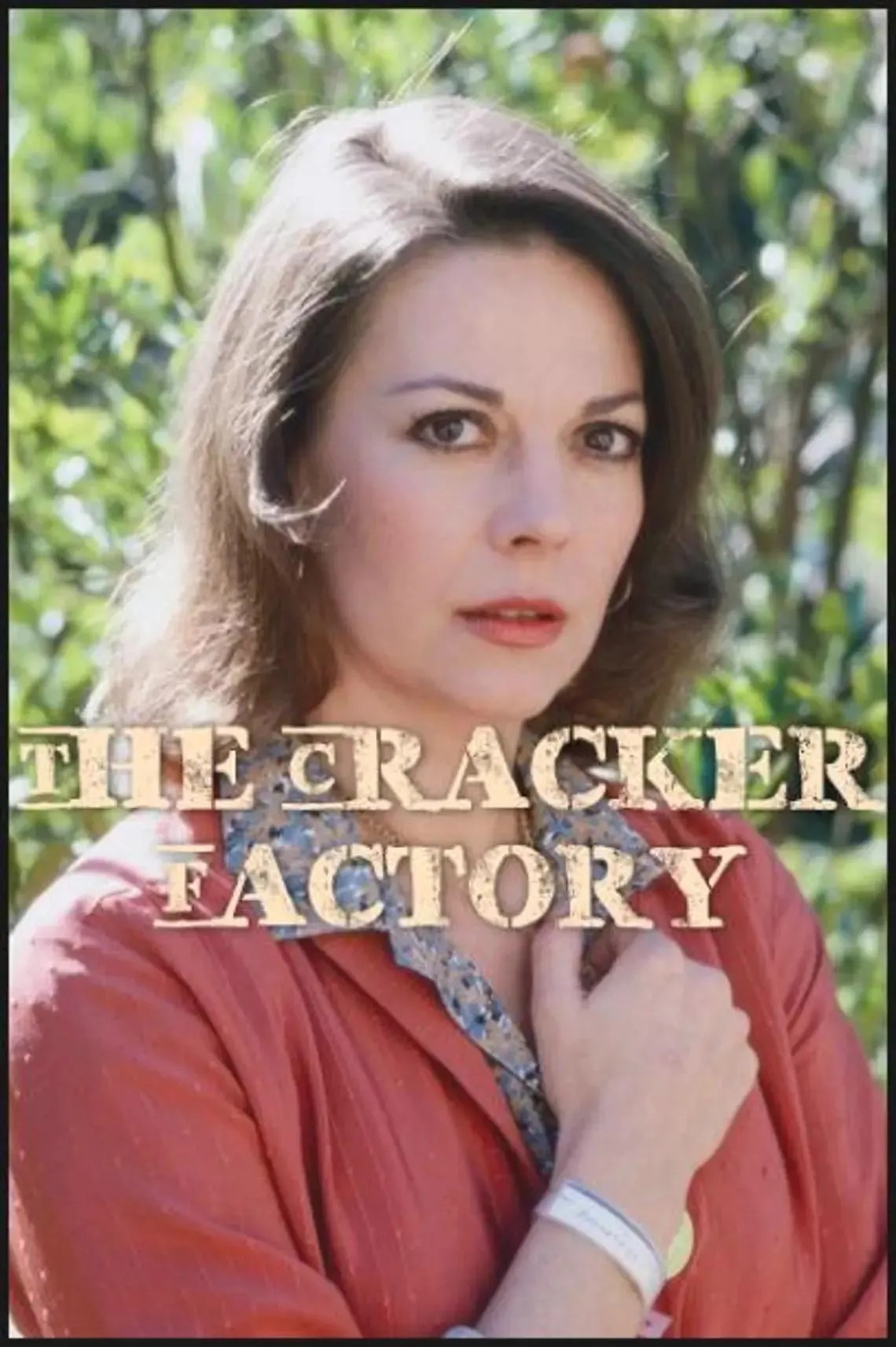 The Cracker Factory (1979) DVD