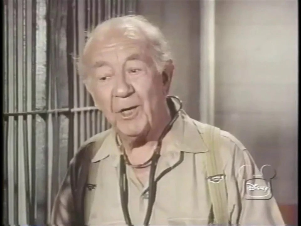 The Wacky Zoo of Morgan City (1970) DVD