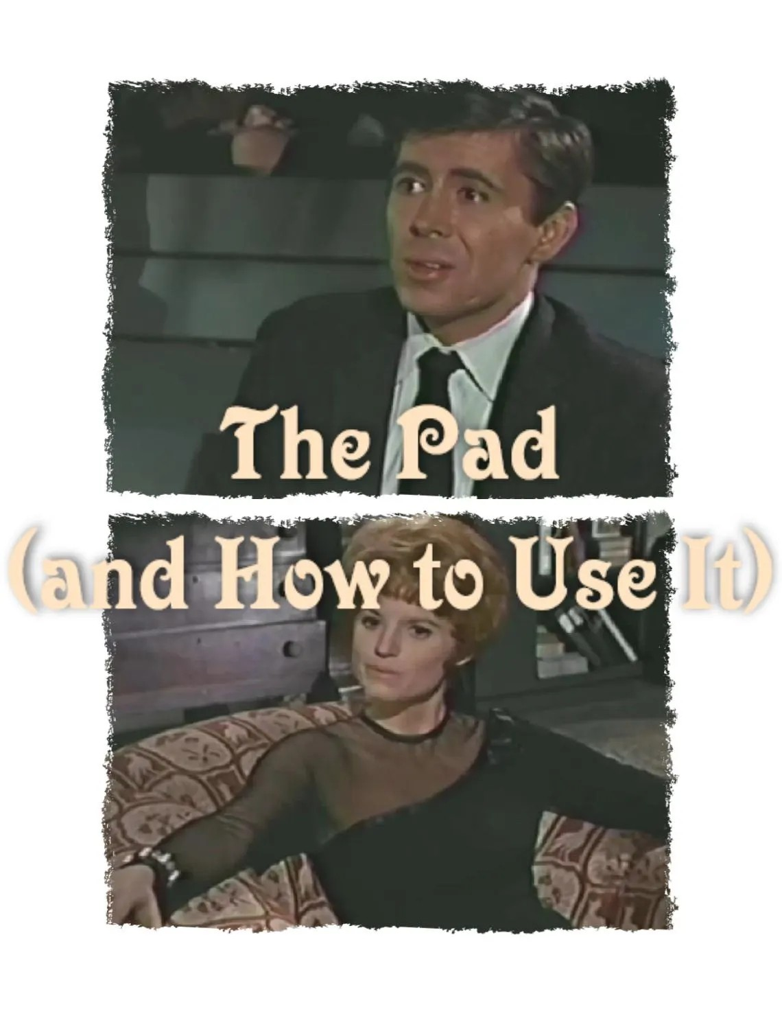 The Pad (and How to Use It) (1966) DVD