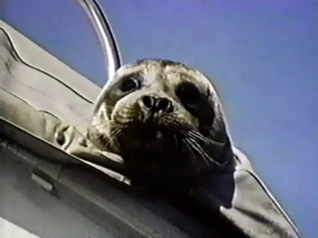 Salty, the Hijacked Harbor Seal (1972) DVD