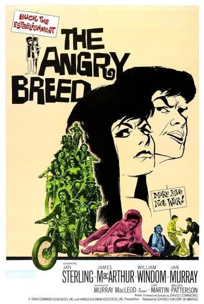 The Angry Breed (1968) DVD